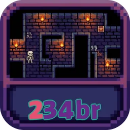 234br