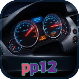 pp12